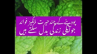 Benefits of Mint|best uses of Podina|skin care Remedies with Mint(PODINA)|Top 5 Easy uses of Podina|