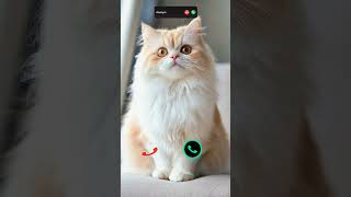 #smartphone #ringtone #tech #call #ringtones #iphone #mobiletech #innovation #unveiling #iphone15