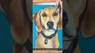 #art #painting #artclass #artistpainting #petportrait #dog #acrylicpainting #acrylicpaint #painter