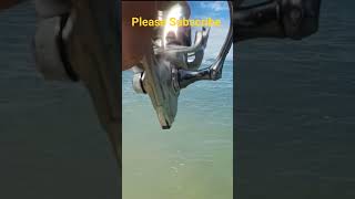 THE GREAT BARRACUDA!! #1mviewers #fishspecies #barracuda #satisfying #respect #viralshort #viral