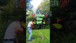 3rd time's the charm. Baseball vs Golf #baseball #golf #firsttry