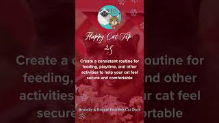 #Shorts – Happy Indoor Cat Tip No.23 (25 Tips: Give Your Indoor Cat her Best Life) #catlovers #cats