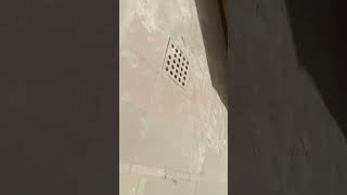 NSUT College Campus| #nsut  #nsit #campuslife #college | Random Bakaitiyan