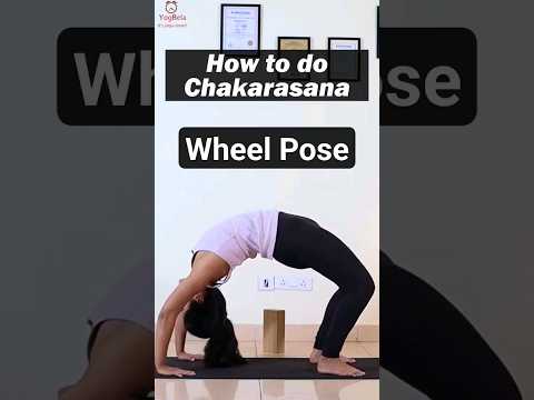 Achieve Chakrasana  | Wheel Pose | Yogbela