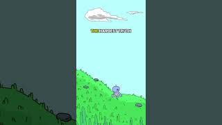 First Words