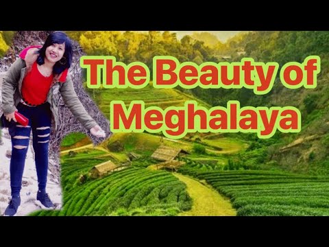 The Beauty of Meghalaya #nature #shillongtour #meghalaya
