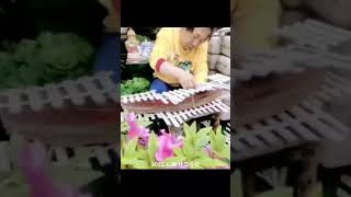 打理屋顶花园