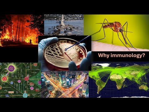Deep Learning Applied to Immunology