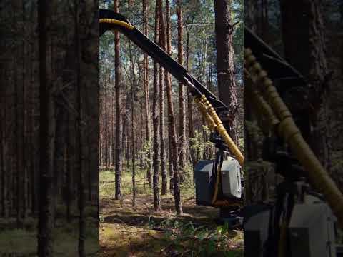 Modern Multifunction Tree Cutting Machine | #Satisfying #shortsvideo #forestry #treecutting