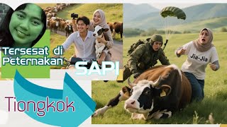 Tersesat di "Peternakan Sapi Tiongkok" Milik Suami Jia-Jia?(Bagian.1)