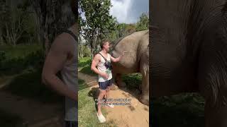 Unique thing to do in Thailand 🇹🇭 #1