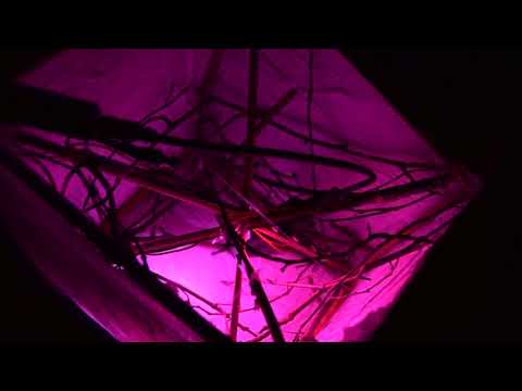 A cool diffusion effect