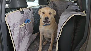 iBuddy Dog Hammock Floor Cover for Trucks with Flip Up Rear Seats