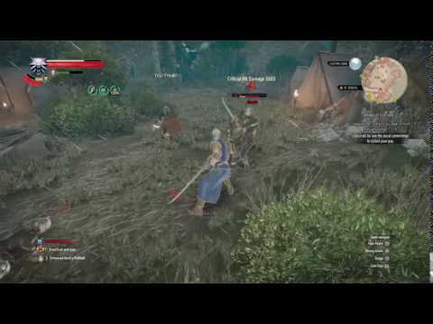The Witcher 3 WTF