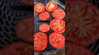 Dehydrating tomatoes 🍅 #shorts #countrylife #harvest #tomatoes