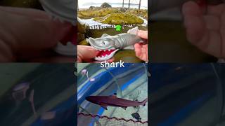 Rock Pool Fun | Learn Sea Animal Names for Kids: Jellyfish Shark Turtle Eel Seal