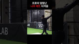 일본 현역 프로선수의 나무배트 타격음