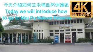 4Kmovie ( 廣東話影片 ) 今天介紹如何去米埔自然保護區 Today we will introduce how to go to Mai Po Nature Reserve