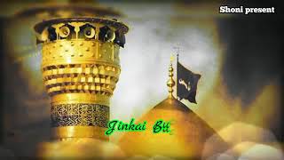 whatapps status New video Noha Jinku Dhokhai si kufai bulaya  gaiya