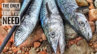 The only lure you need to catch BIG fishes. Bearking Kanata 160F| 30g | 160mm | Floating. Best lure