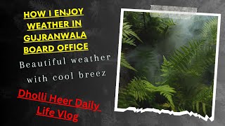 Embracing Blissful Weather at the Board of Intermediate Office | Gujranwala Vlog | BISEGRW