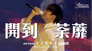 [Multi Angle 4K] Ian Chan "Tears" in my sight solo concert 2024 -《開到荼蘼》