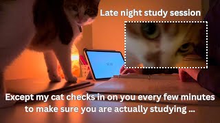 1-HOUR STUDY WITH ME(Except my cat checks on you every few minutes to see if you are still working)