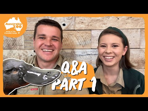 What does the future look like? Bindi and Chandler Q&A Part 1