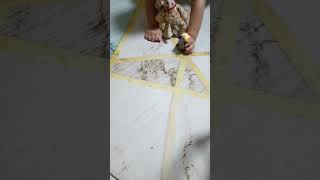 2024/05/15 剛好打到一隻蚊子沒有死掉，給小孩看看，結果都會怕怕