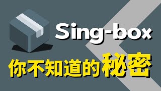 【Sing-box你不知道的秘密】无需代理即可翻墙，体验不一样的翻墙新姿势！