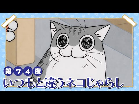 アニメ『夜は猫といっしょ』第74夜「いつもと違うネコじゃらし」