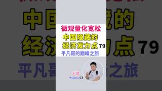 微观量化宽松 79  中国隐藏的经济发力点 平凡哥的巅峰之旅|市场经济共识|工程施工外包|雇佣成本高|自由职业者崛起|职场剧本循环|工程人员流动|技术工人市场变化|平凡哥群体体量|职场辞职潮