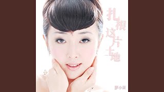 扎根这片土地