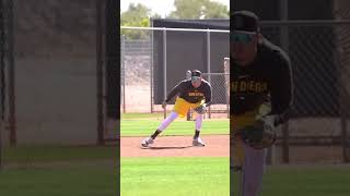 Is this the best left side of the infield in baseball?