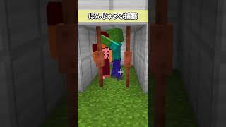 ぼんじゅうるを捕まえるのに最適な装置を考えてみたwww#shorts#ドズル社#マイクラ