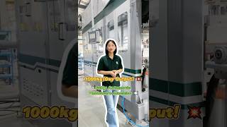 Best-Selling Pulp Molding Tableware Machine | 1000kg Daily Output!