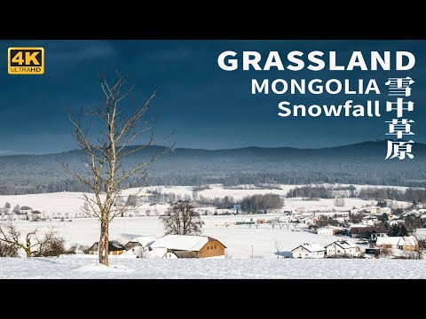 China Snowfall | Inner Mongolia | Sahantala Grassland | Snowfall City | Asmr | 4K Video HD 60fps