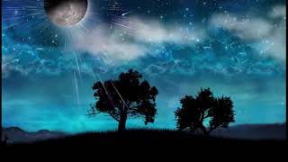 Tinnitus Sound Therapy - My Tinnitus is Gone after hearing this nature music!
