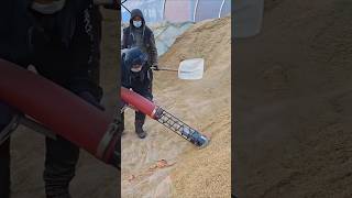 Rice loading: Good tools and machinery improve work efficiency