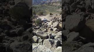 #hiking #colorado #outdoorsman #outdoors #wildlife #gratefuldead #animals #travel #travellog