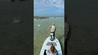 Full video ⬆️ Epic Barracuda Eat from Destination: Abaco. Out now. #FlyFishing #Fishing