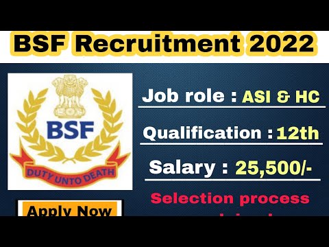 BSF Head Constable Ministerial recruitment 2022 l bsf recruitment 2022 l bsf head constable 2022
