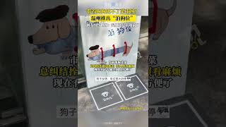 太超前了！浙江溫州菜市場推出“泊狗位”，網友紛紛點贊！
