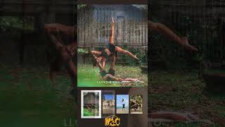 Check Out This Lineupb#acroyoga #mac2025 #acroyogavacation