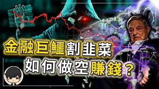 金融巨鱷割韭菜？那我們就跟著做空賺錢！經濟危機越下跌，越賺錢的投資方法！（附中文字幕）｜投資賺錢2022｜90後創業家掃地僧