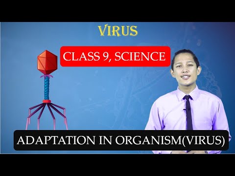 Virus and Its Important Facts , Class 9 ,Science