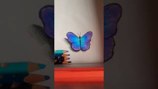 How to draw butterfly  /easy  / butterfly drawing / 3d drawing