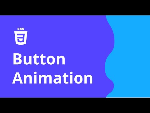 CSS button animation