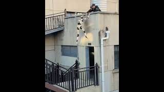 Crazy Robot Escapes Police! Funny Robot Video 😂  #robot #funny #ai #viralvideo