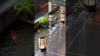 【目黒　超話題のカフェ】